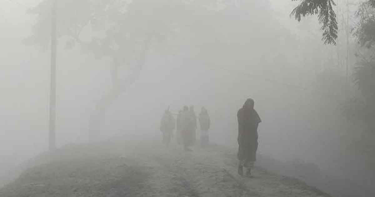 মাঘের আগেই ' হাড় কাঁপানো শীত', শৈত্যপ্রবাহ নিয়ে নতুন যা জানা গেল