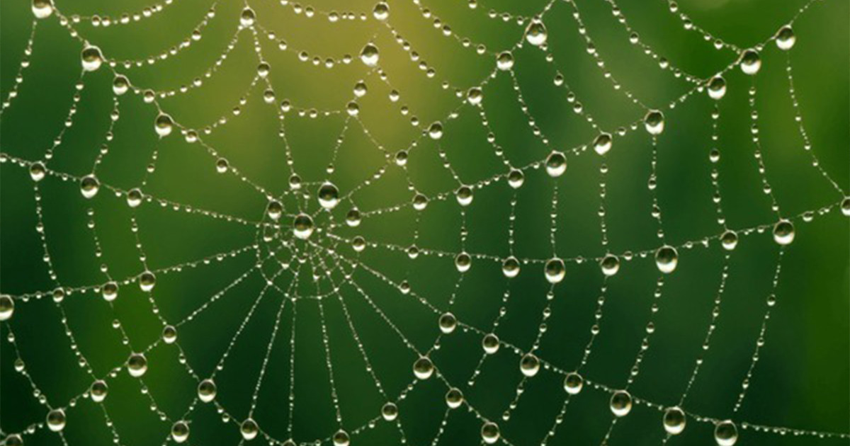 দুশ্চিন্তার বেড়াজাল থেকে উত্তরণের পথ