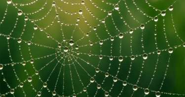 দুশ্চিন্তার বেড়াজাল থেকে উত্তরণের পথ