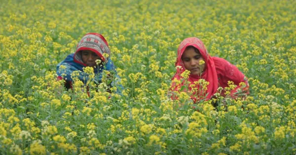 নারী ভোটারদের মধ্যে সচেতনতা বাড়াতে বিশেষ টিভিসি প্রকাশ