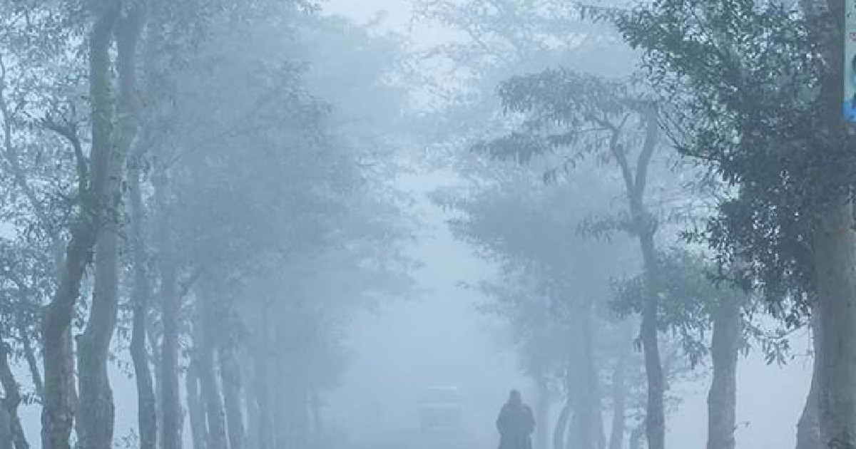 শীতে কাঁপছে যশোর, একদিনেই গেল ১০ প্রাণ