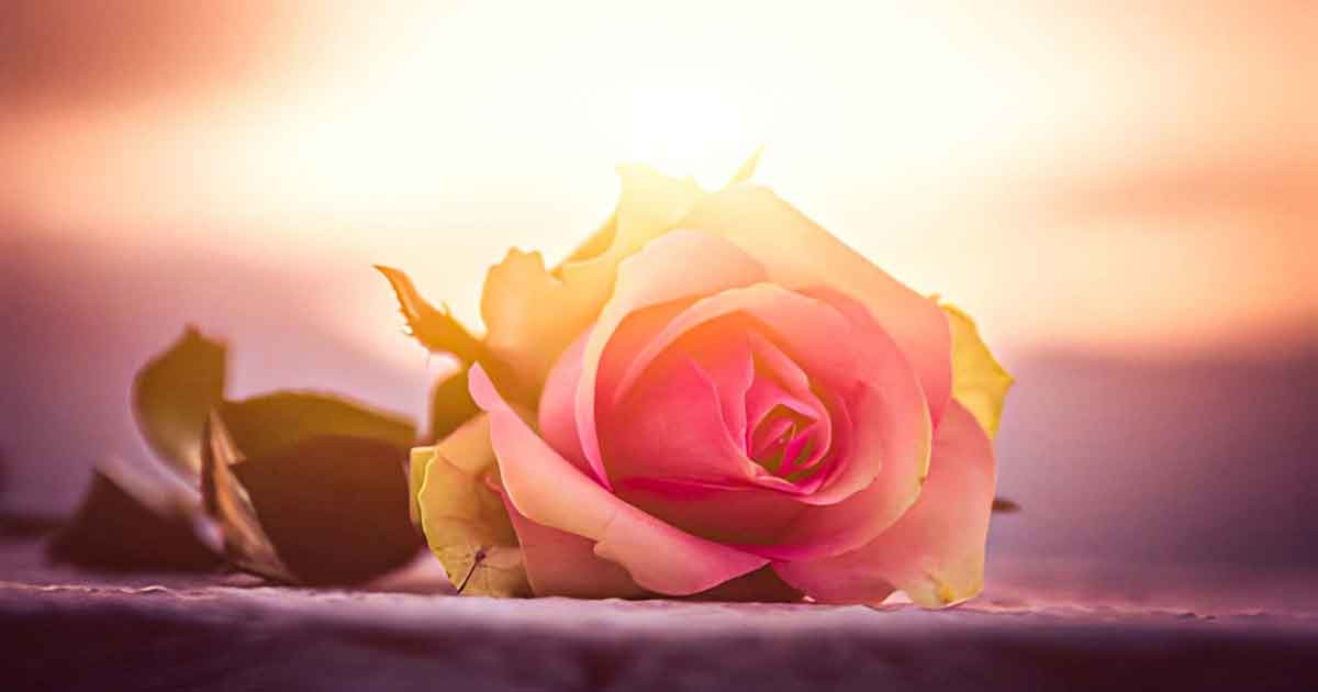 মৃত্যু থেকে ১০ শিক্ষা