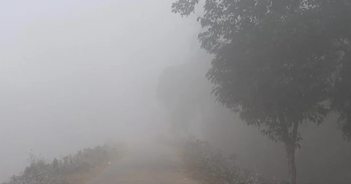 পঞ্চগড়ে বইছে শৈত্যপ্রবাহ, তাপমাত্রা ৭.৭ ডিগ্রি