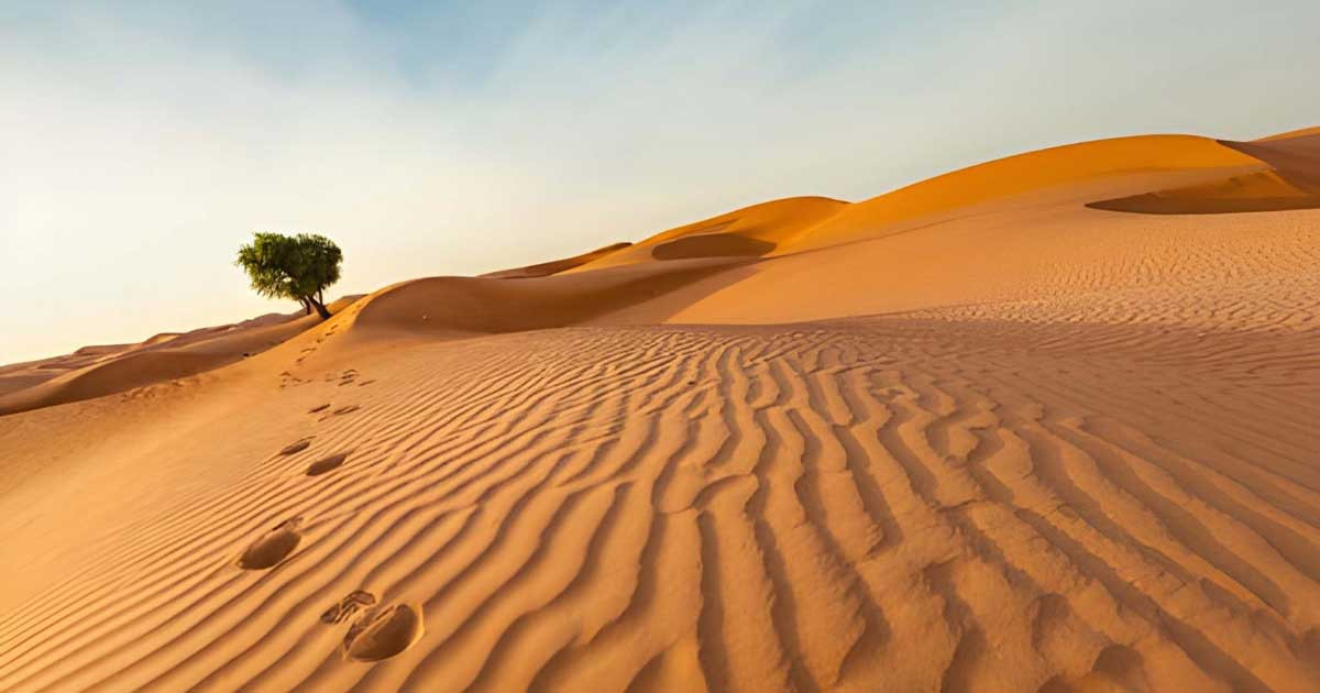 মহানবী (সা.)-এর অন্যতম প্রিয় কবি