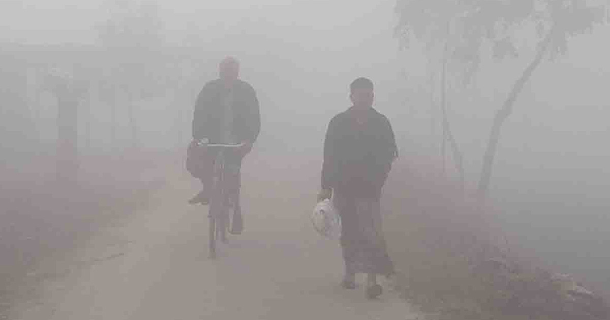 বইছে শৈত্যপ্রবাহ, তেঁতুলিয়ায় তাপমাত্রা ৭ দশমিক ৫ ডিগ্রি