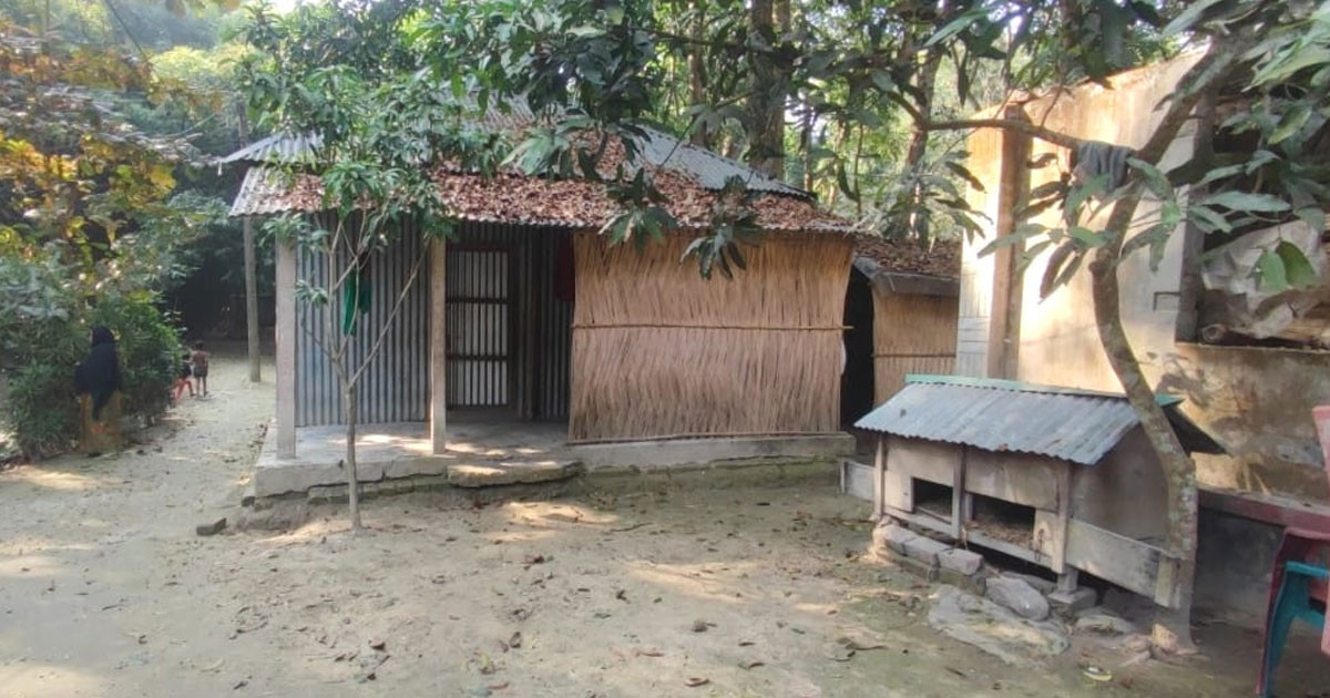 জমির টাকার লোভে বাবা-মাকে জ্যান্ত কবরের চেষ্টা, গ্রেপ্তার দুই ছেলে