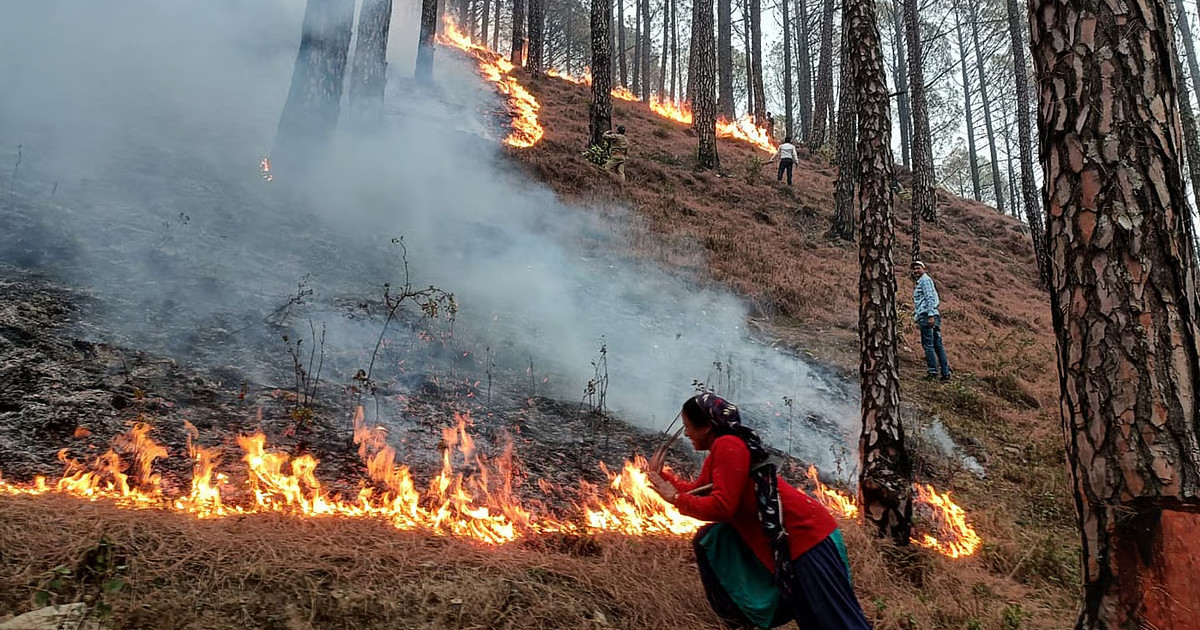 ভারতের উত্তরাখণ্ডে ভয়াবহ দাবানল