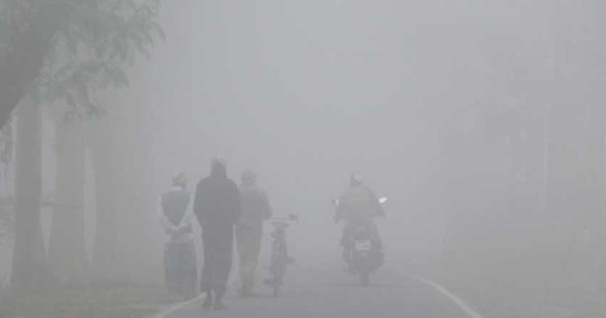 টানা ১২ দিন ধরে তীব্র শীতে কাঁপছে পঞ্চগড়