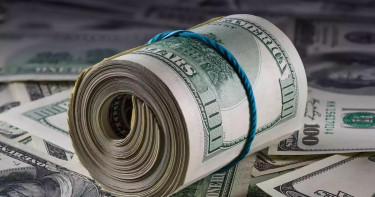 জানুয়ারির প্রথম ১৭ দিনে প্রবাসী আয় ১৮৬ কোটি ডলার