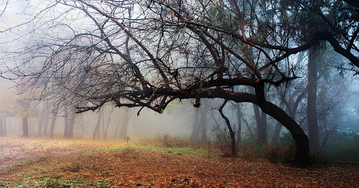 কোরআন-হাদিসে জিনদের অস্তিত্বের প্রমাণ