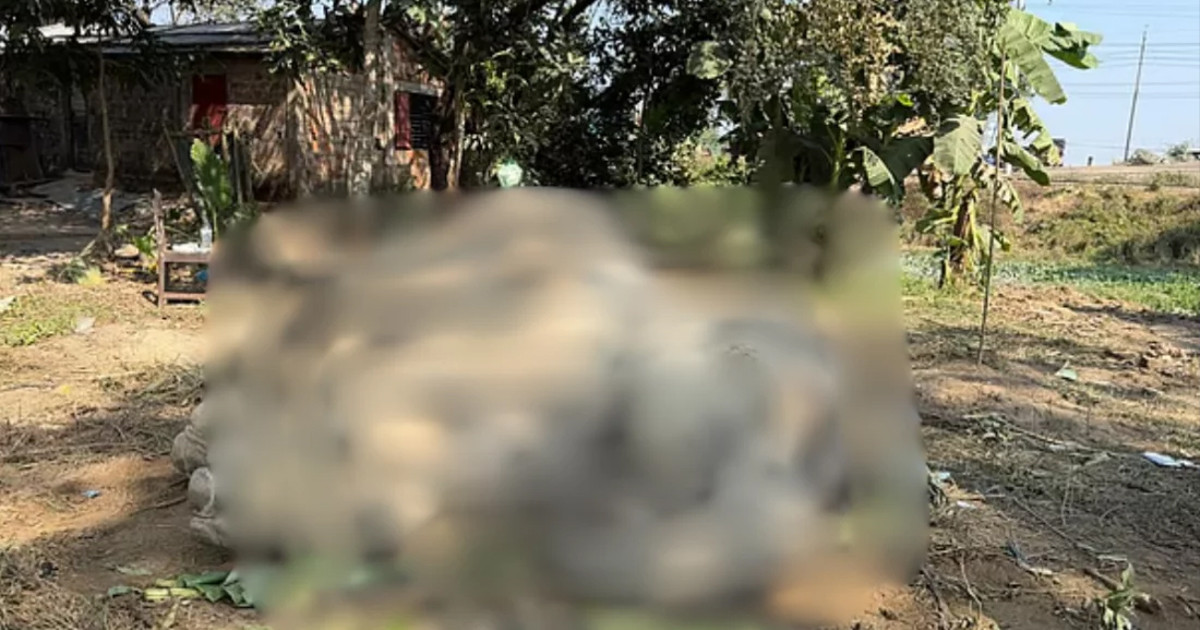 সিলেটে বাঁচানো গেল না ডোবায় পড়া সেই হাতিটিকে