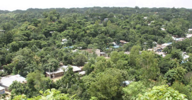 চট্টগ্রামে র‍্যাব কর্মকর্তা নিহত, আশঙ্কাজনক ৩