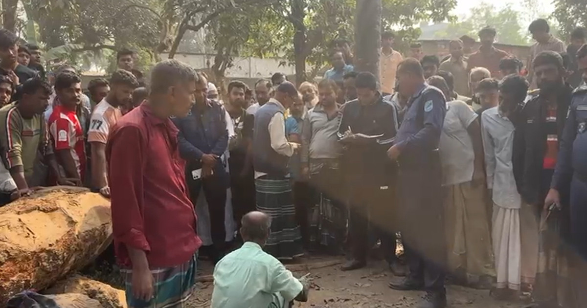 রায়পুরায় হত্যাসহ একাধিক মামলার আসামি অপুকে কুপিয়ে হত্যা