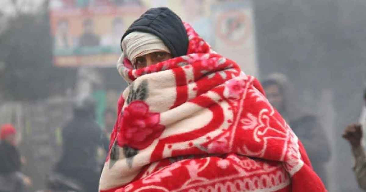 শীত মৌসুমের মাঝামাঝি যে খাবারগুলো খাওয়া জরুরি