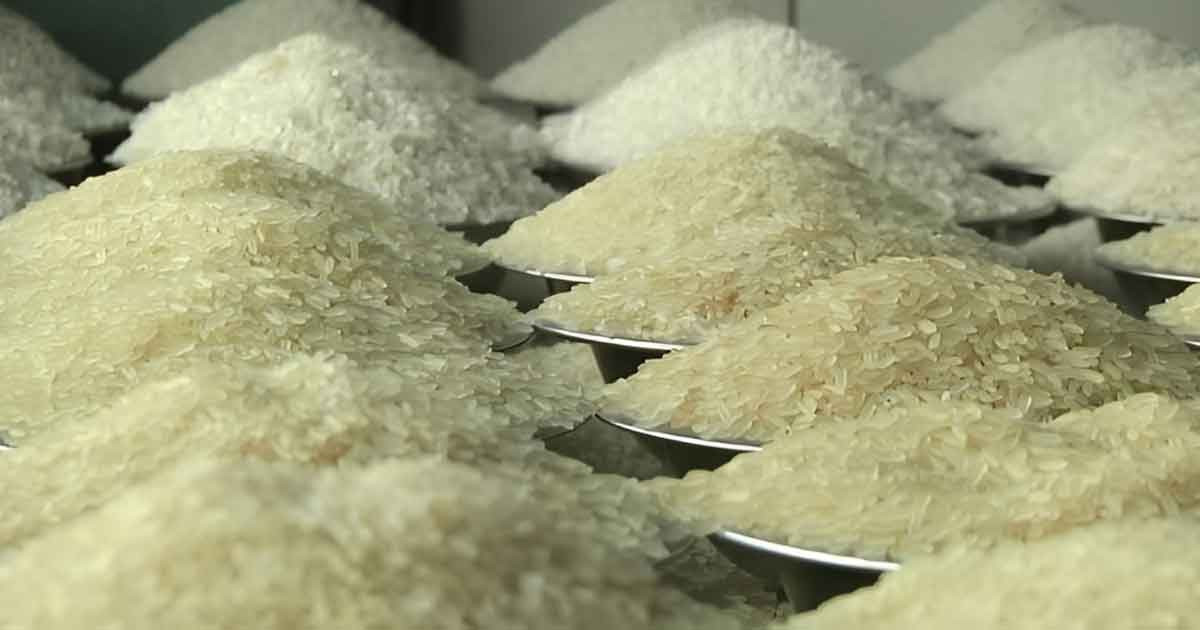 ৪১৯ উপজেলায় অতিরিক্ত ওএমএস কার্যক্রম শুরু, চাল মিলবে কেজিপ্রতি ৩০ টাকায়