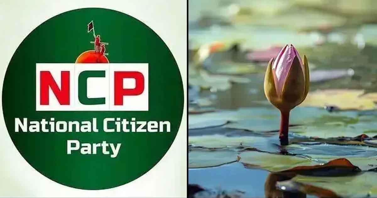 গণভোটের প্রচারণায় ২৩৮ আসনে প্রতিনিধি নিয়োগ এনসিপির