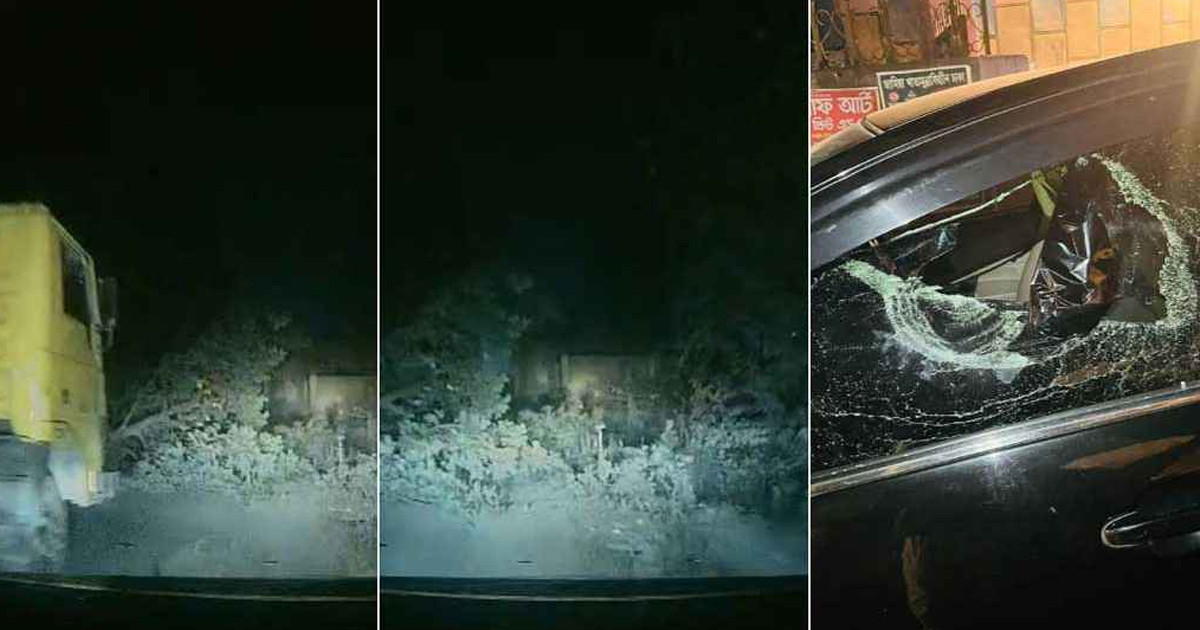 সড়কে গাছ ফেলে ডাকাতির ভিডিও ভাইরাল