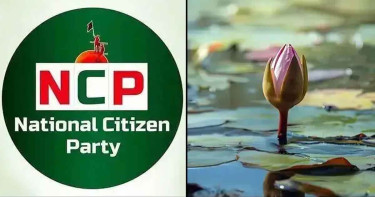 গণভোটের প্রচারণায় ২৩৮ আসনে প্রতিনিধি নিয়োগ এনসিপির