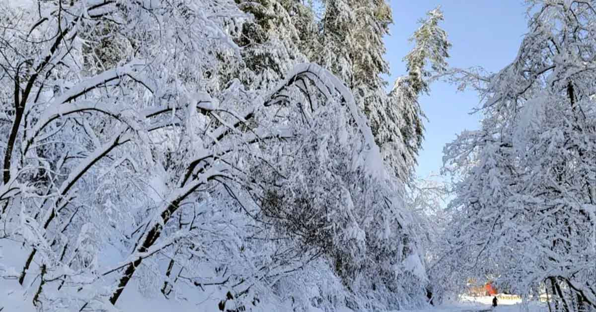 পাকিস্তানে সতর্কতা জারি