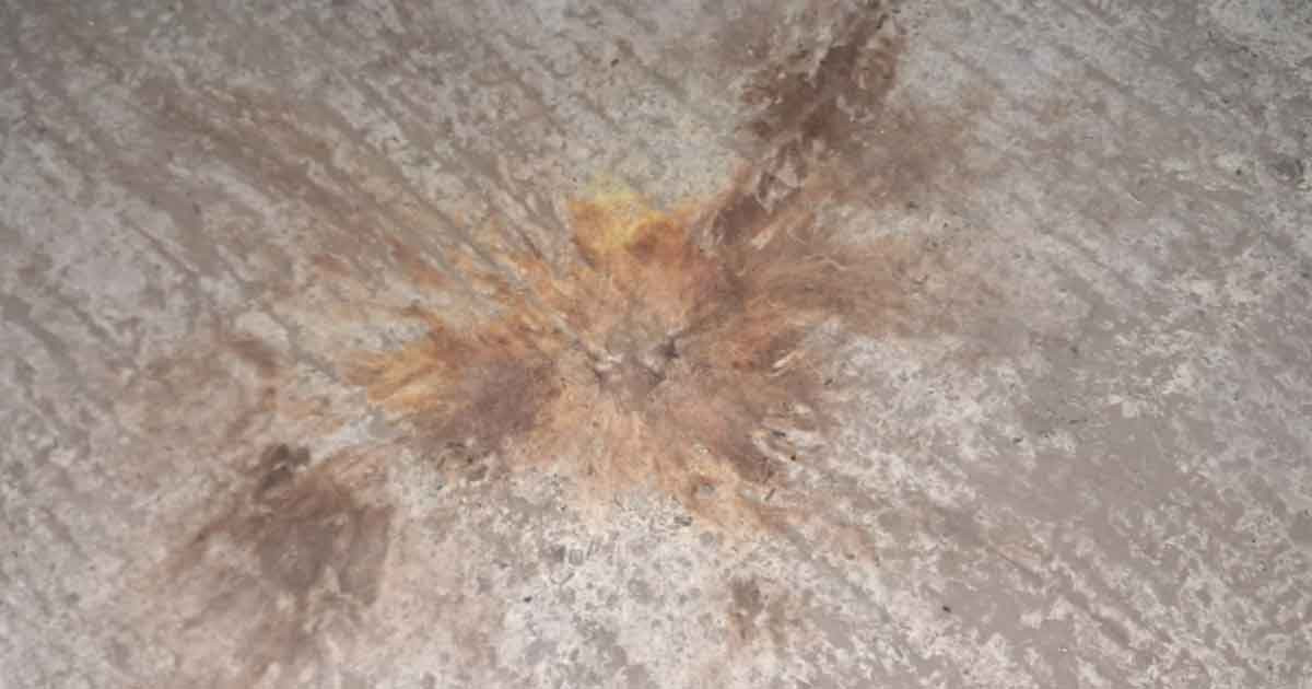 গোপালগঞ্জ বিজ্ঞান ও প্রযুক্তি বিদ্যালয়ের মূল গেটে ককটেল বিস্ফোরণ