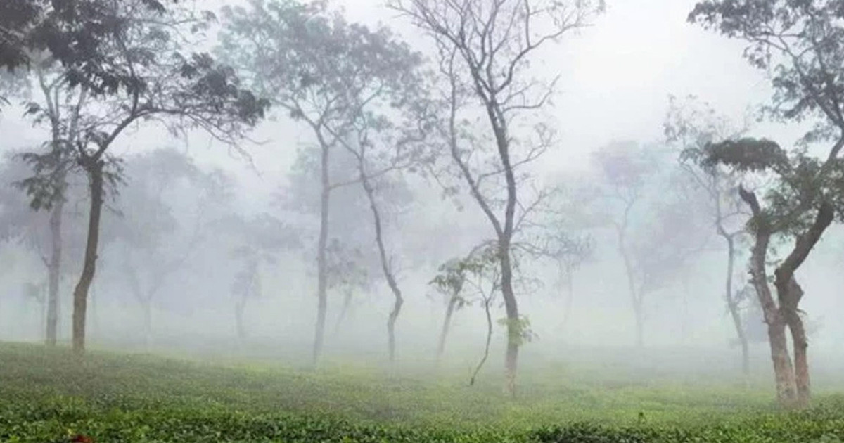 শ্রীমঙ্গলে টানা চার দিন দেশের সর্বনিম্ন তাপমাত্রা
