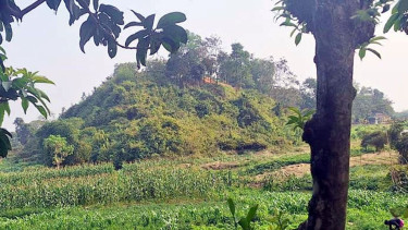 আরাকান আর্মির ছোড়া গুলিতে দুই বাংলাদেশি আহত