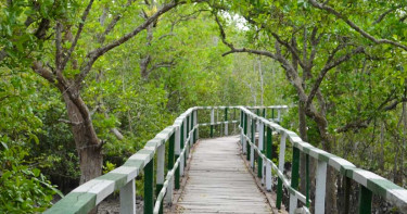 সাতক্ষীরা জেলাকে ‘এ’ ক্যাটাগরিতে উন্নীত করে প্রজ্ঞাপন জারি