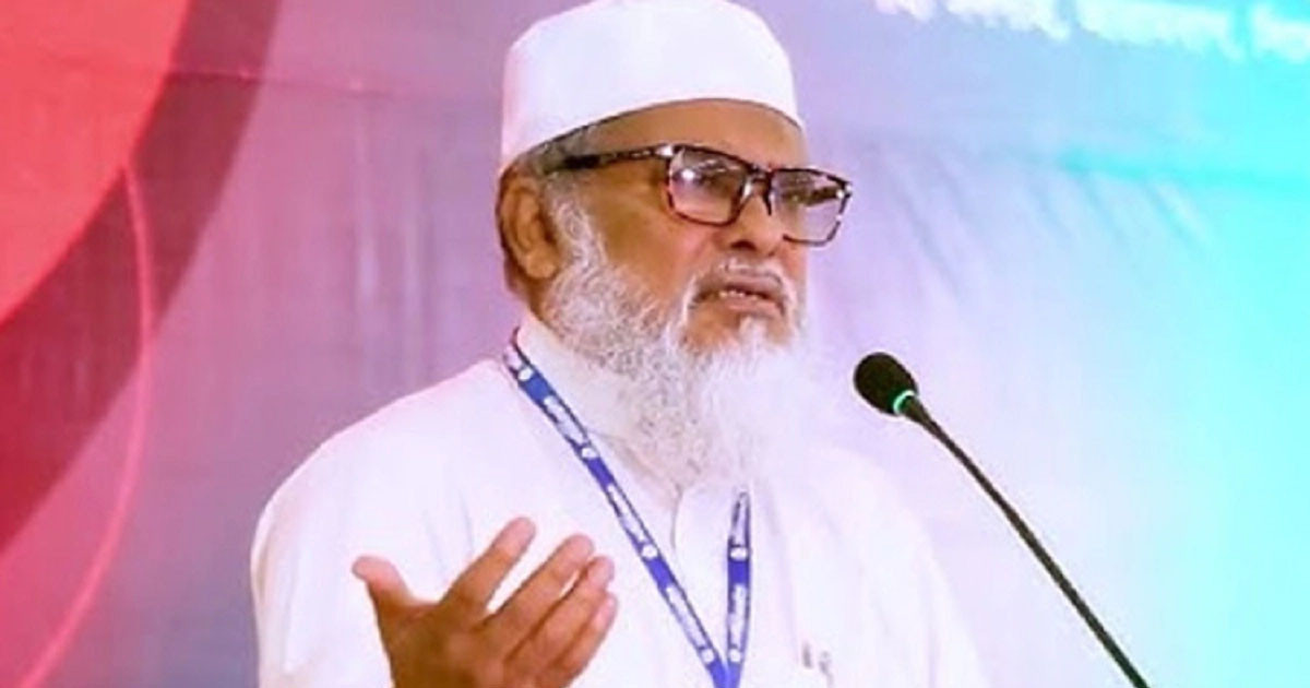 ‘গণভোটে ‘হ্যা’ জয়ী হলে দেশে স্বৈরসরকারের আগমন ঘটবে না’