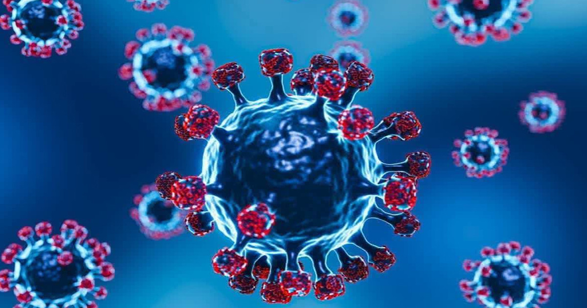 সন্ধান মিললো নতুন দুই ভাইরাসের