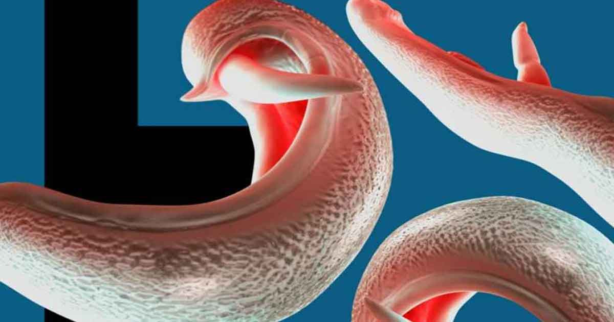 দেশে দেশে ছড়াতে পারে যৌনাঙ্গ আক্রান্তকারী পরজীবী, বিজ্ঞানীদের সতর্কতা