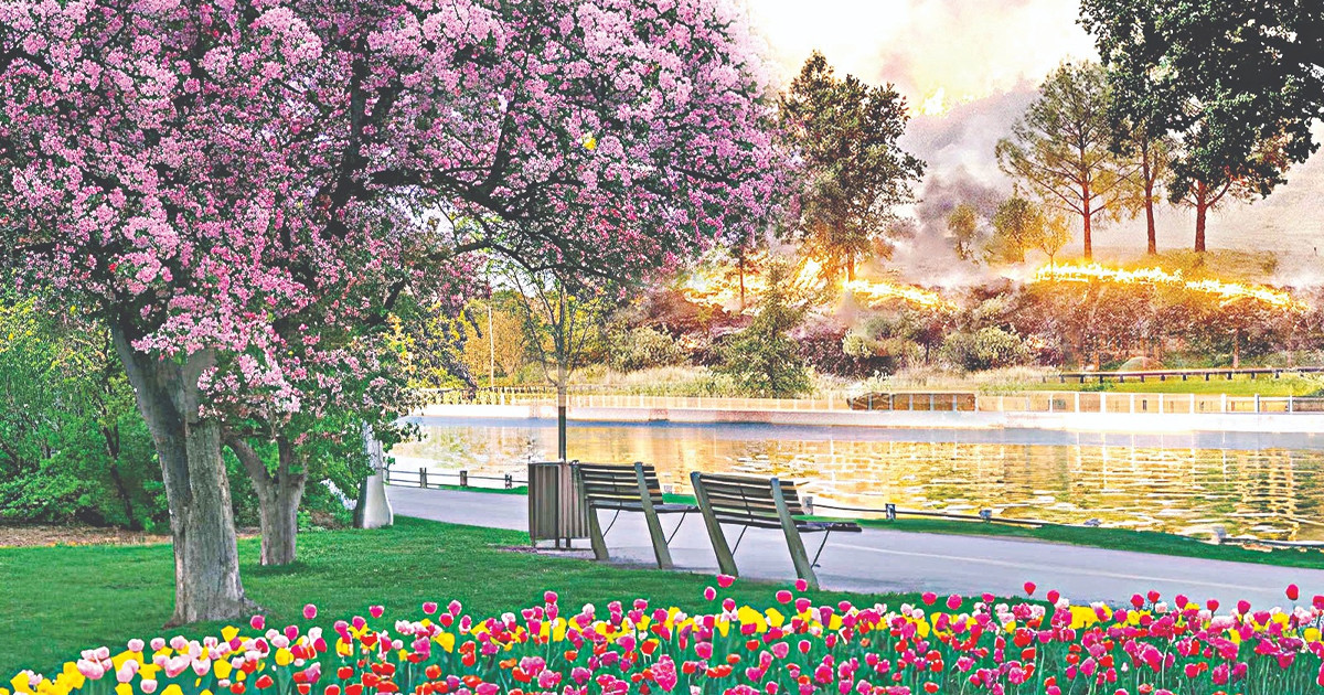 আবু উমামাহ আল-বাহিলি (রা.)-এর কারামত