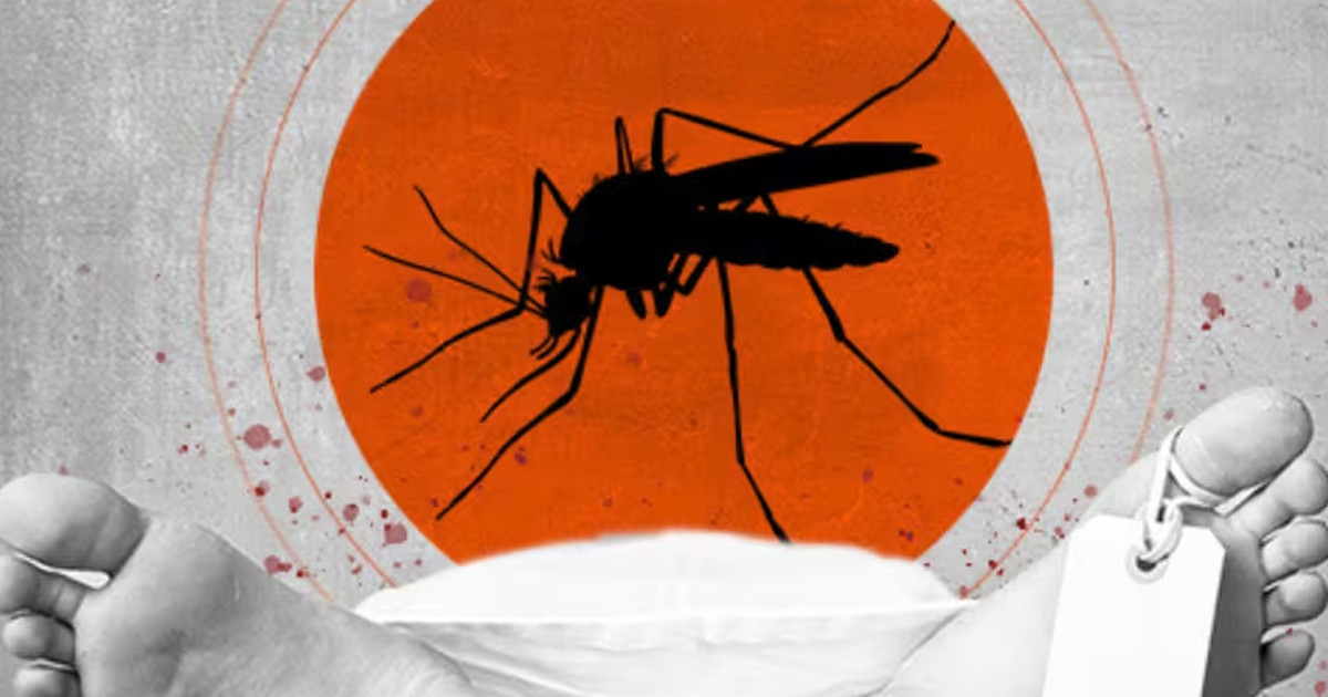 ডেঙ্গুতে চলতি বছর তৃতীয় মৃত্যু, এক দিনে শনাক্ত ১৮