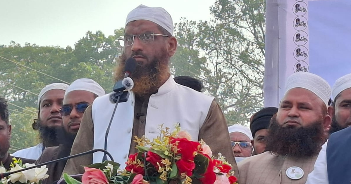 ভোট ডাকাতির দিন শেষ, গণভোটে ‘হ্যাঁ’ জয়ের আহ্বান মামুনুল হকের