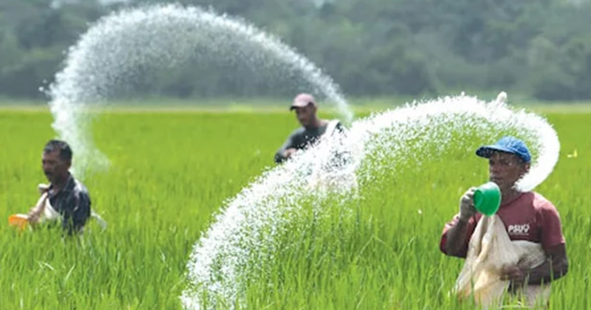 ২ লাখ ১০ হাজার টন সার কিনছে সরকার, ব্যয় ১৩৭১ কোটি টাকা
