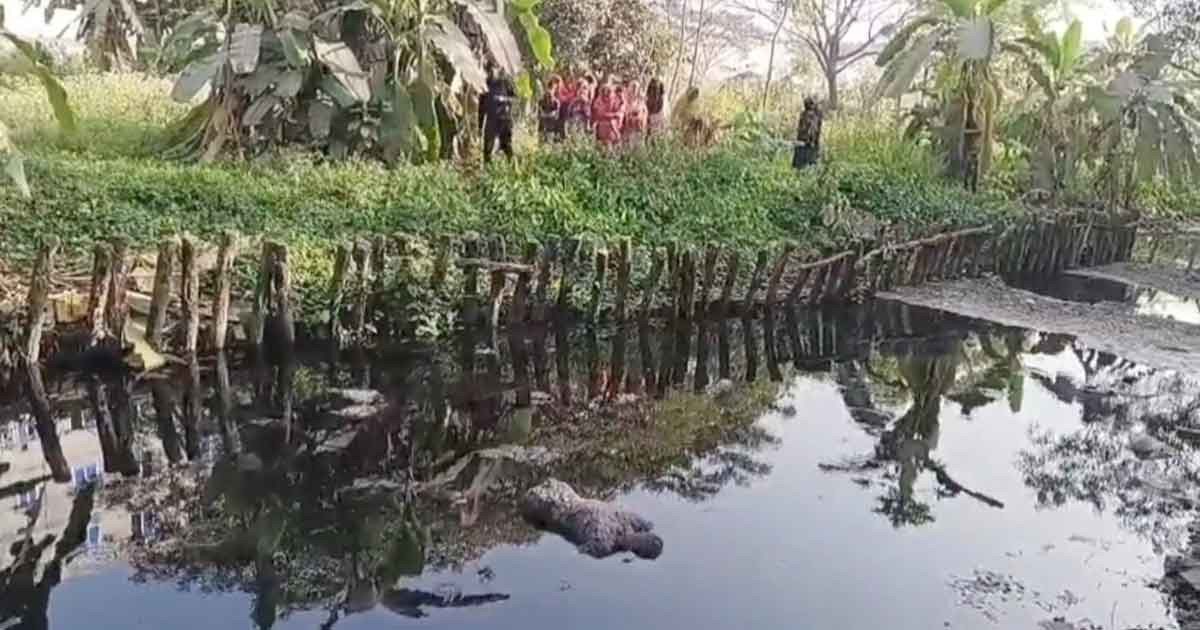 হত্যার পর লাশ খালে ফেলে যায় দুর্বৃত্তরা, ভেসে উঠে একটু পরই