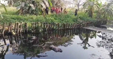 হত্যার পর লাশ খালে ফেলে যায় দুর্বৃত্তরা, ভেসে উঠে একটু পরই
