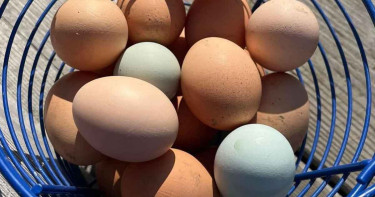 দুই হালি ডিম বিক্রি হলো ২ হাজার টাকায়