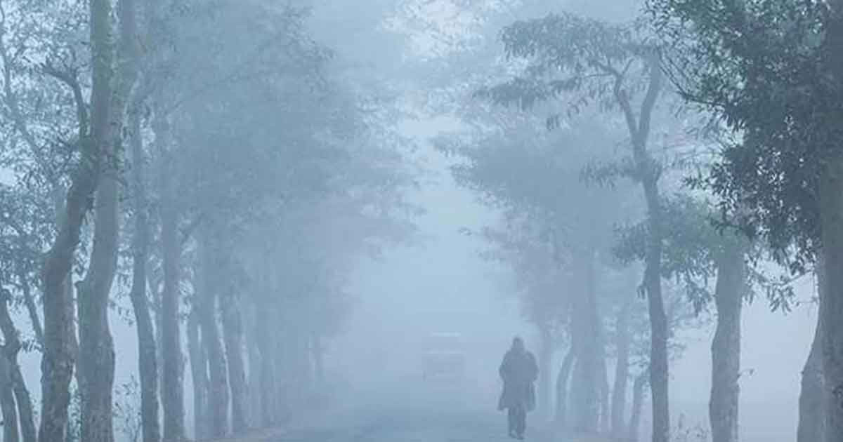 চার জেলায় শৈত্যপ্রবাহ, শীত থাকবে আর কতদিন?