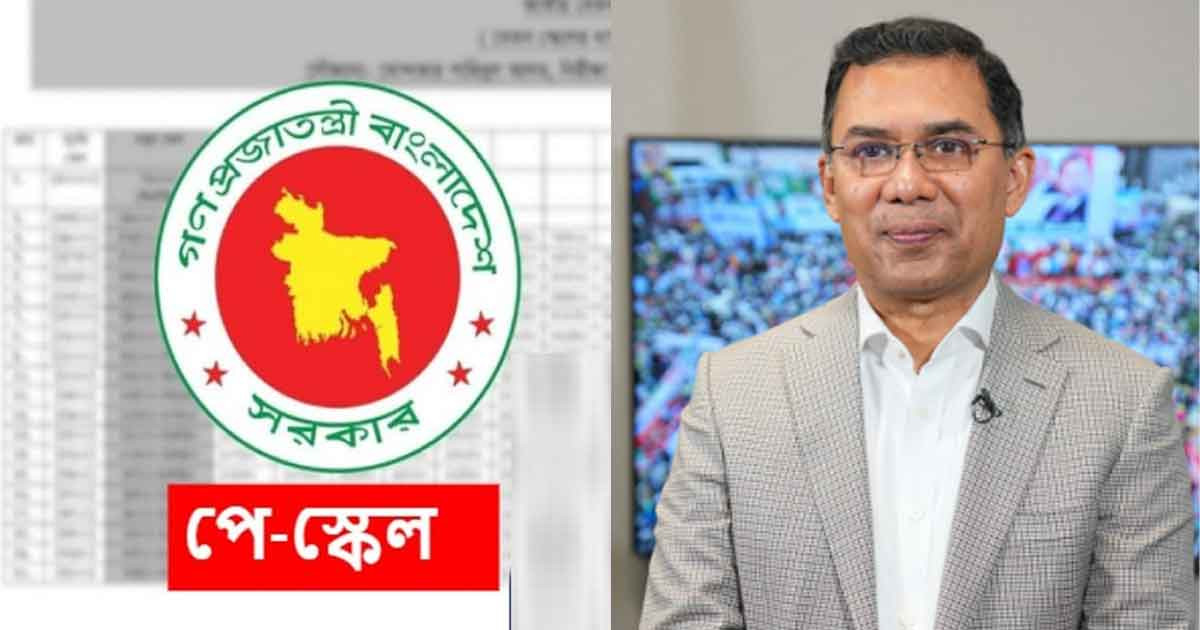 পে স্কেল বাস্তবায়ন কবে, যা আছে বিএনপির ইশতেহারে