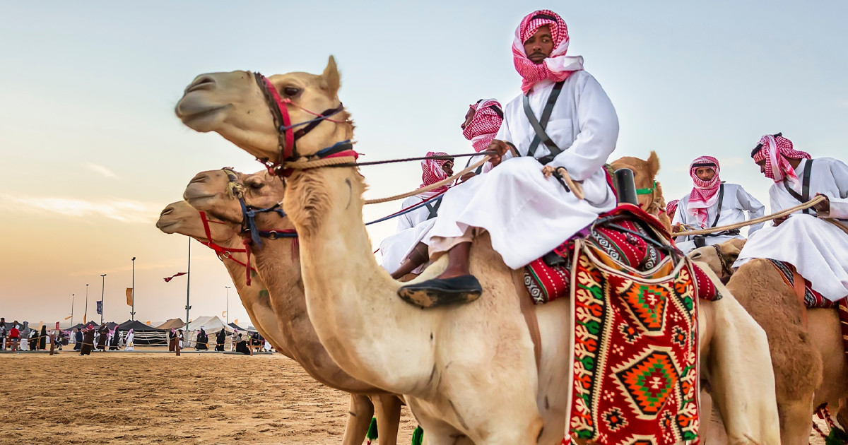 উটের জন্য ‘পাসপোর্ট’ চালু করতে যাচ্ছে সৌদি আরব