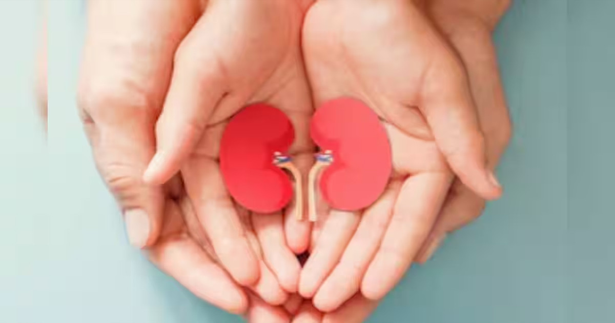 সুস্থ কিডনির চাবিকাঠি আপনার রান্নাঘরেই