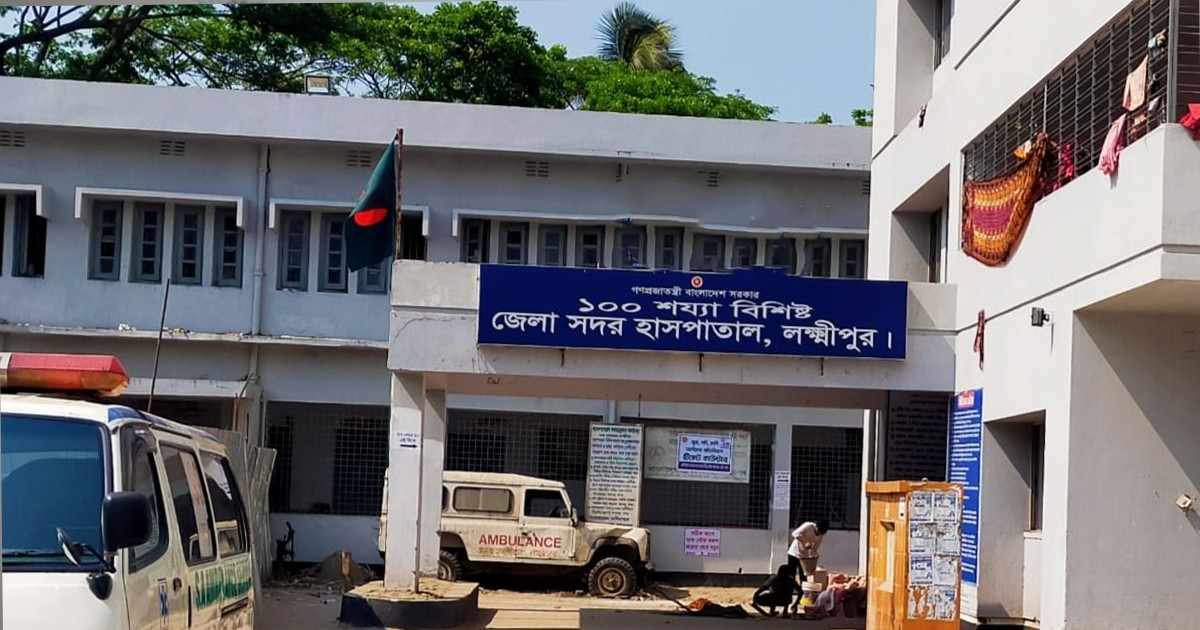 নির্বাচনী মিছিলে গিয়ে বিএনপি-জামায়াতের ২ কর্মীর মৃত্যু