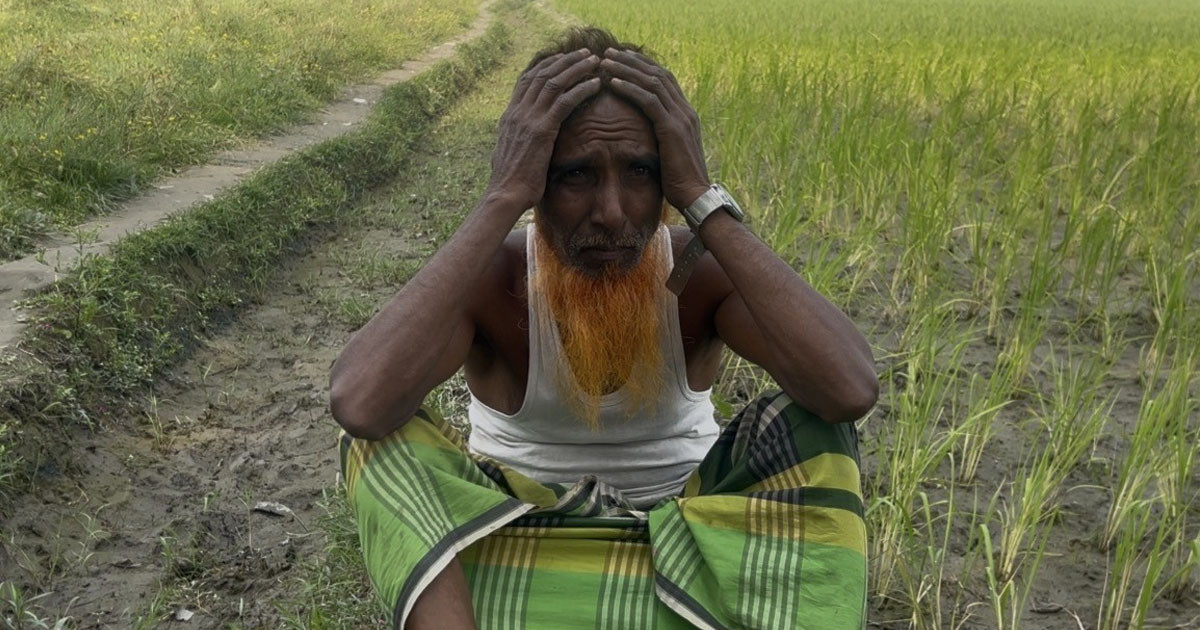 ধামরাইয়ে ভূমিদস্যুদের হামলা সরকারি সেচ প্রকল্প বন্ধ, খড়ার মুখে ফসলী জমি