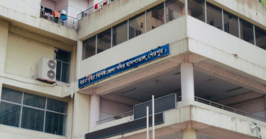 সড়ক দুর্ঘটনায় সহকারী প্রিজাইডিং অফিসারসহ নিহত ২