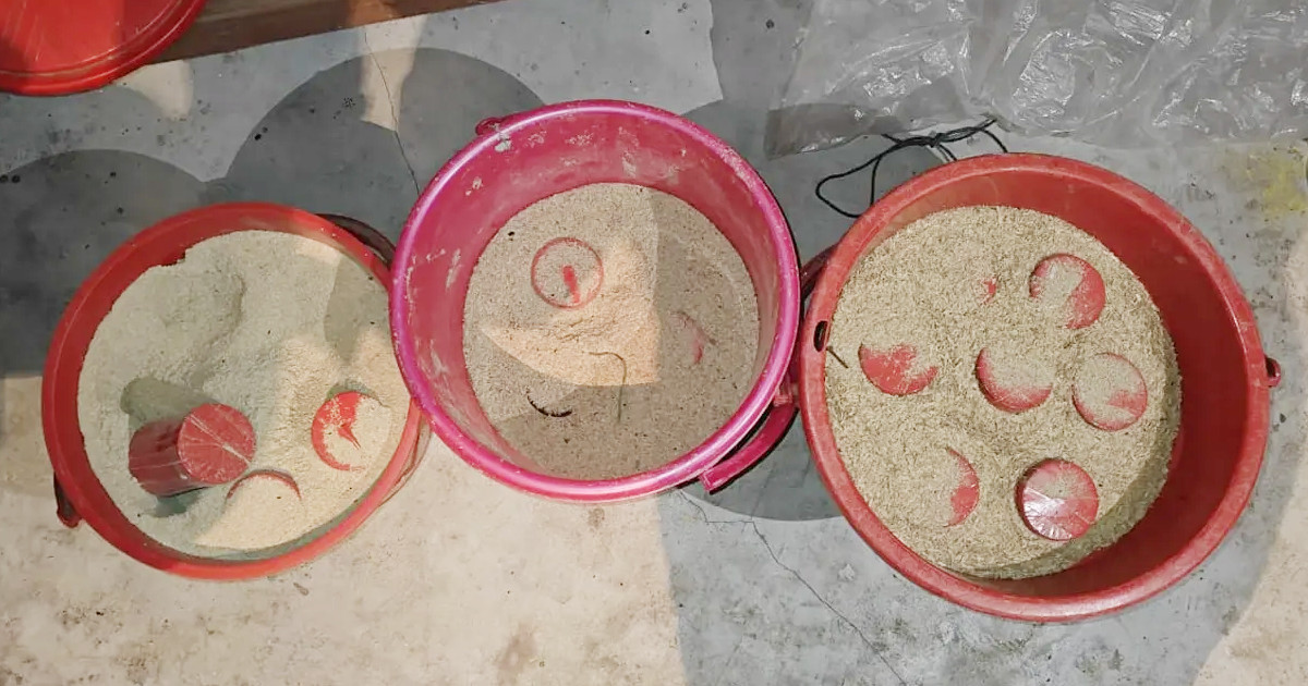 মুন্সীগঞ্জে ৩ বালতি তাজা ককটেল উদ্ধার