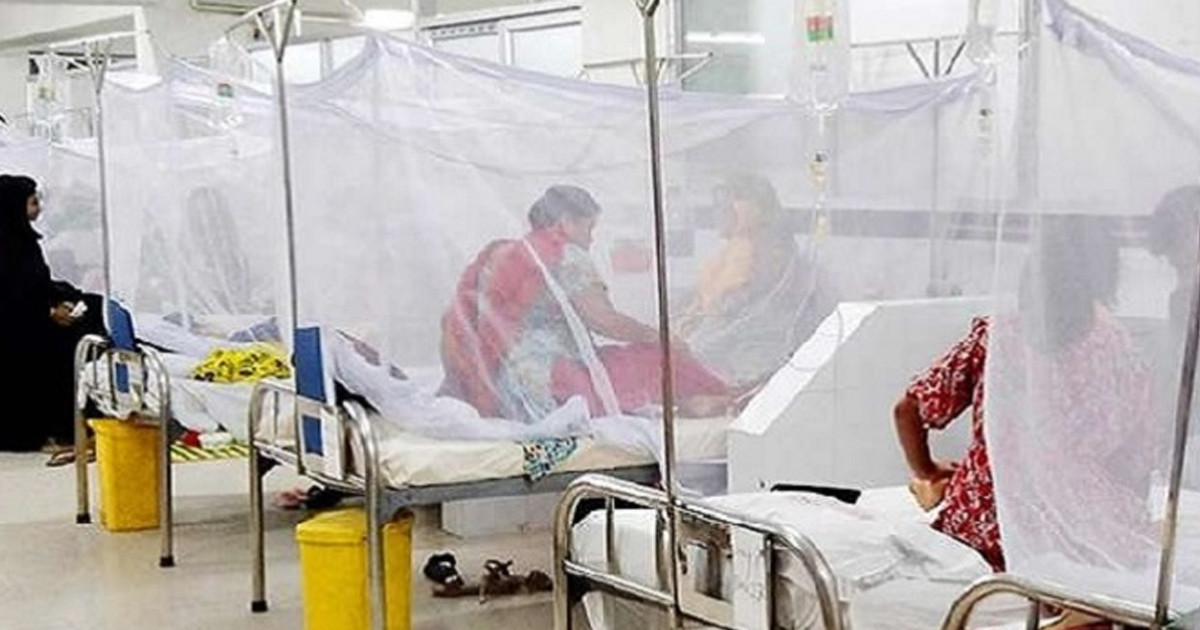 ২৪ ঘণ্টায় ডেঙ্গুতে আক্রান্ত ৩১ জন