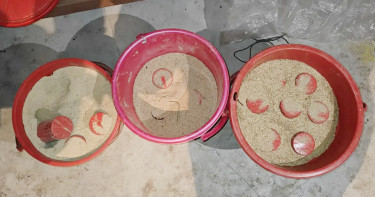 মুন্সীগঞ্জে ৩ বালতি তাজা ককটেল উদ্ধার