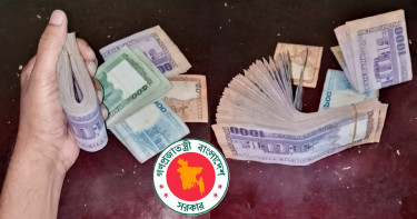 পে-স্কেল নিয়ে সরকারি চাকরিজীবীদের যে পরিকল্পনা