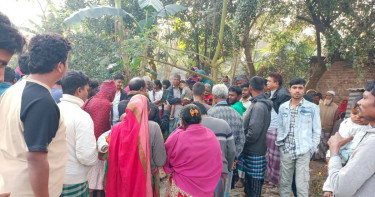 কুকুরের মাংসকে খাসির মাংস বলে বিক্রির অভিযোগ