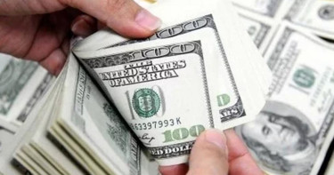 ১৪ দিনে এলো ১৩৫ কোটি ডলার রেমিট্যান্স